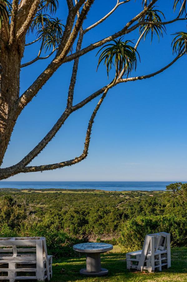 302 On Old Sea View Road Chelsea Apartment Port Elizabeth Bagian luar foto